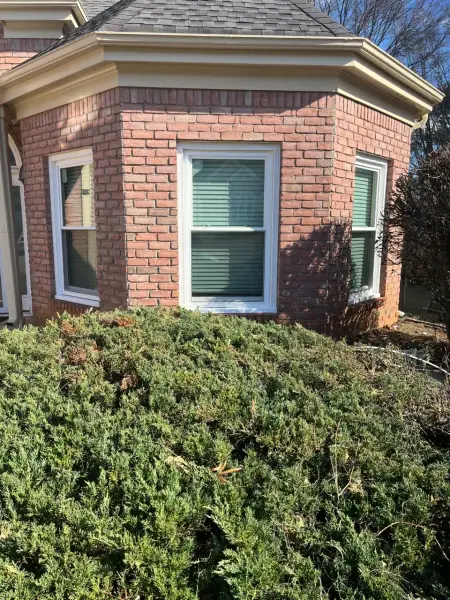 Duluth Whole House, photo 18