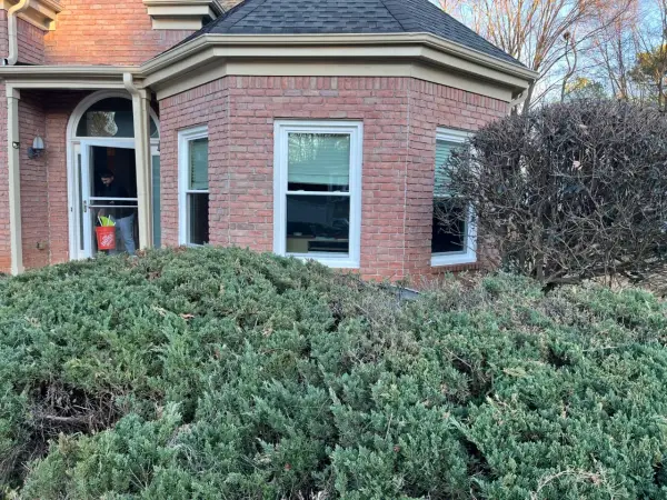 Duluth Whole House, photo 31