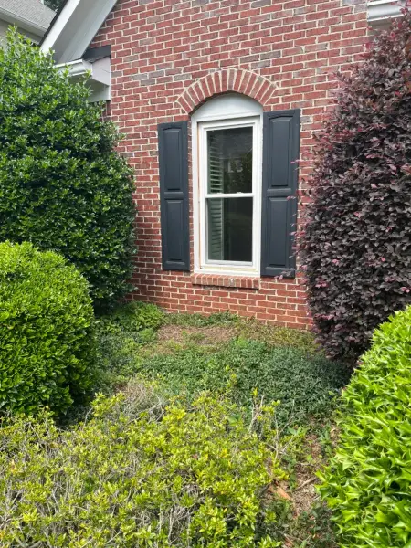 Johns Creek Project 3, photo 78