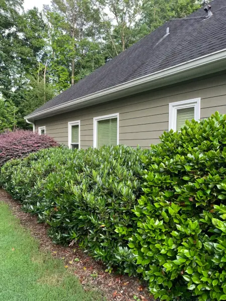 Johns Creek Project 3, photo 56
