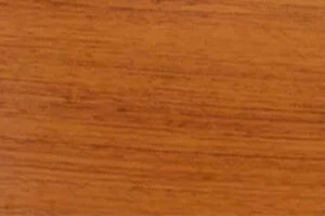 Brazilian Cherry